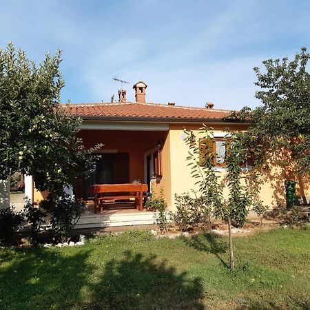 Apartman Lena Umag Exterior foto