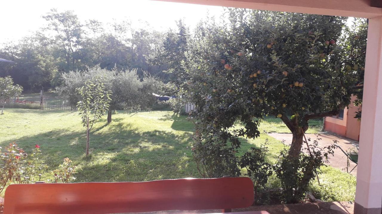 Apartman Lena Umag Exterior foto