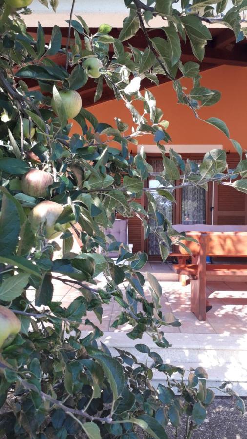 Apartman Lena Umag Exterior foto